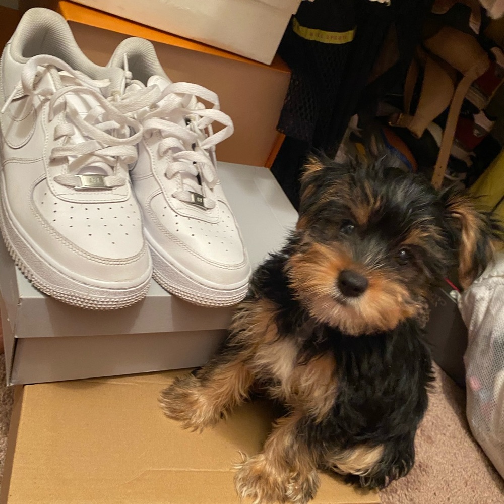 AIR FORCE ONES (lol with a side of cuteness)